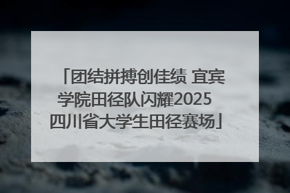 团结拼搏创佳绩 宜宾学院田径队闪耀2025四川省大学生田径赛场