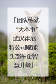 团队练就“大本事” 武汉霍尼特公司赋能头部车企智慧升级