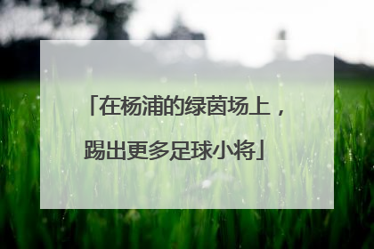 在杨浦的绿茵场上，踢出更多足球小将