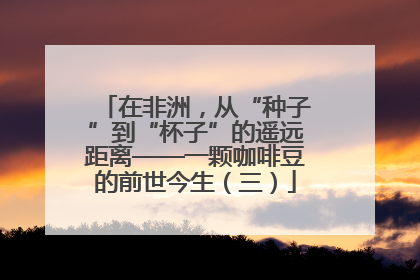 在非洲，从“种子”到“杯子”的遥远距离——一颗咖啡豆的前世今生（三）