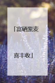 富硒紫麦喜丰收