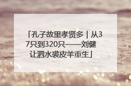 孔子故里孝贤多｜从37只到320只——刘健让泗水裘皮羊重生