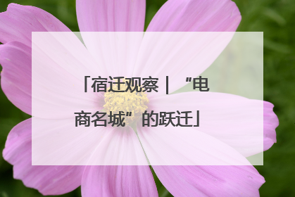 宿迁观察｜“电商名城”的跃迁