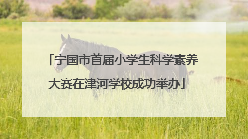 宁国市首届小学生科学素养大赛在津河学校成功举办