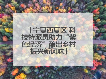 宁夏西夏区 科技特派员助力“紫色经济”酿出乡村振兴新风味