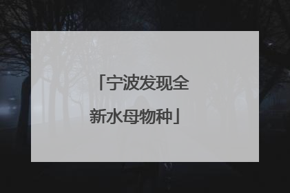 宁波发现全新水母物种