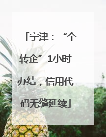 宁津：“个转企”1小时办结，信用代码无缝延续