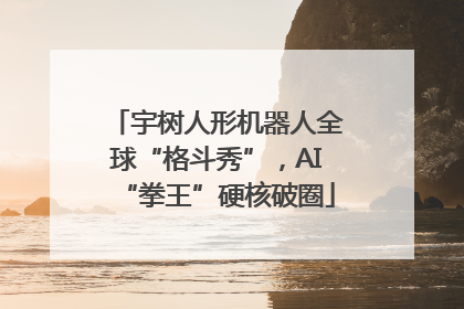 宇树人形机器人全球“格斗秀”，AI“拳王”硬核破圈