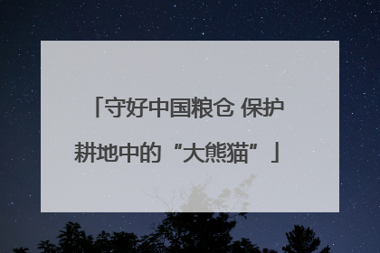 守好中国粮仓 保护耕地中的“大熊猫”