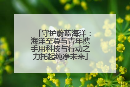 守护蔚蓝海洋：海洋至尊与青年携手用科技与行动之力托起纯净未来