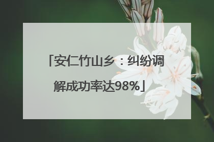 安仁竹山乡：纠纷调解成功率达98%