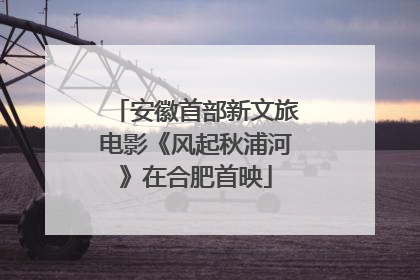 安徽首部新文旅电影《风起秋浦河》在合肥首映