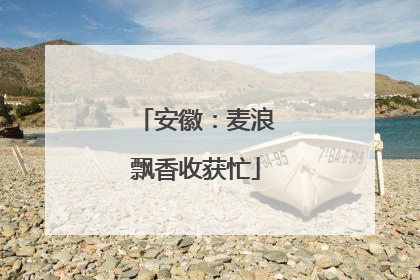 安徽：麦浪飘香收获忙