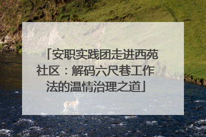 安职实践团走进西苑社区：解码六尺巷工作法的温情治理之道