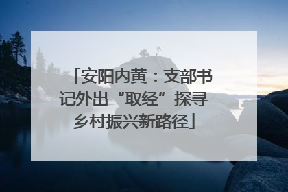 安阳内黄：支部书记外出“取经”探寻乡村振兴新路径