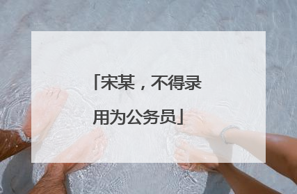 宋某，不得录用为公务员