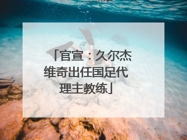 官宣：久尔杰维奇出任国足代理主教练