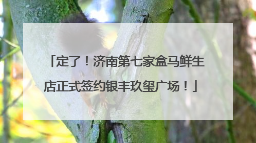 定了！济南第七家盒马鲜生店正式签约银丰玖玺广场！