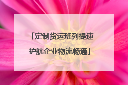 定制货运班列提速 护航企业物流畅通