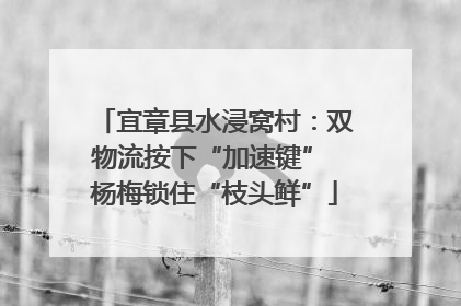 宜章县水浸窝村：双物流按下“加速键” 杨梅锁住“枝头鲜”