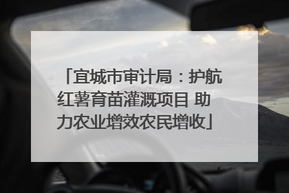 宜城市审计局：护航红薯育苗灌溉项目 助力农业增效农民增收