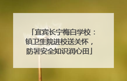 宜宾长宁梅白学校：镇卫生院进校送关怀，防暑安全知识润心田