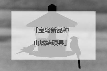 宝岛新品种 山城结硕果