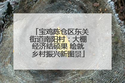 宝鸡陈仓区东关街道南阳村：大棚经济结硕果 绘就乡村振兴新图景