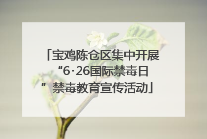 宝鸡陈仓区集中开展“6･26国际禁毒日”禁毒教育宣传活动