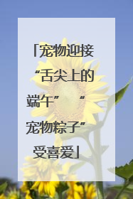 宠物迎接“舌尖上的端午” “宠物粽子”受喜爱