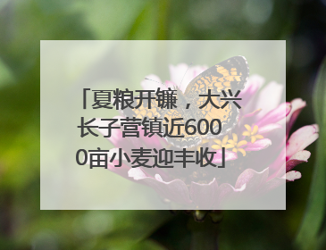 夏粮开镰，大兴长子营镇近6000亩小麦迎丰收