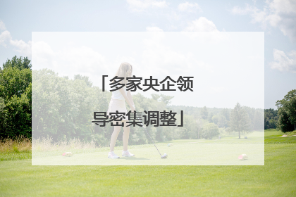 多家央企领导密集调整