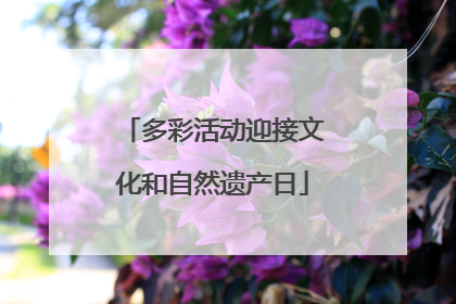 多彩活动迎接文化和自然遗产日