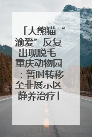 大熊猫“渝爱”反复出现脱毛 重庆动物园：暂时转移至非展示区静养治疗