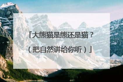 大熊猫是熊还是猫？（把自然讲给你听）