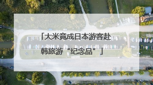 大米竟成日本游客赴韩旅游“纪念品”