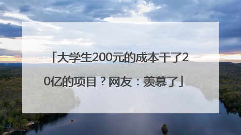 大学生200元的成本干了20亿的项目？网友：羡慕了