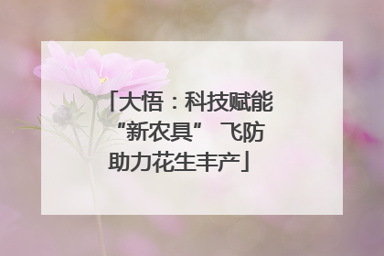 大悟：科技赋能“新农具” 飞防助力花生丰产