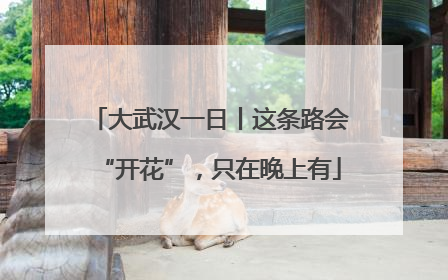 大武汉一日丨这条路会“开花”，只在晚上有