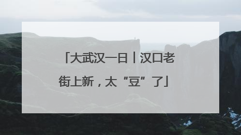大武汉一日︱汉口老街上新，太“豆”了