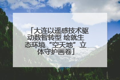大连以遥感技术驱动数智转型 绘就生态环境“空天地”立体守护画卷