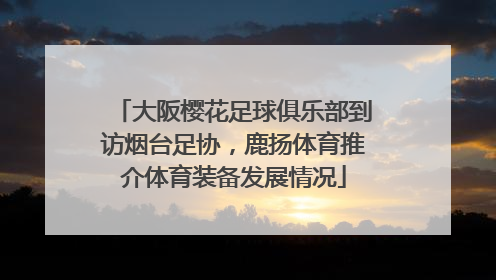大阪樱花足球俱乐部到访烟台足协，鹿扬体育推介体育装备发展情况
