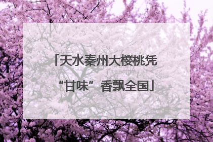 天水秦州大樱桃凭“甘味”香飘全国