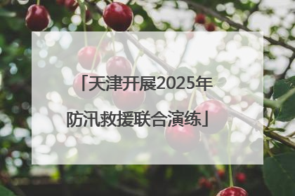 天津开展2025年防汛救援联合演练