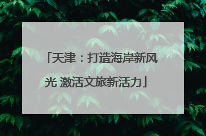 天津：打造海岸新风光 激活文旅新活力