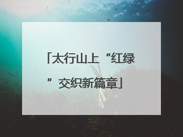 太行山上“红绿”交织新篇章