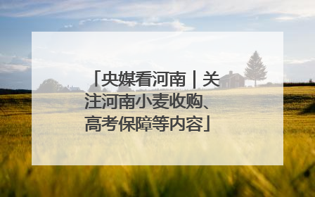 央媒看河南｜关注河南小麦收购、高考保障等内容