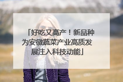 好吃又高产！新品种为安徽蔬菜产业高质发展注入科技动能