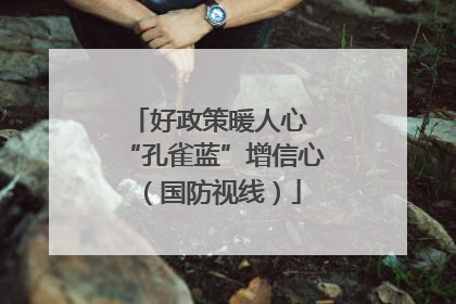 好政策暖人心 “孔雀蓝”增信心（国防视线）