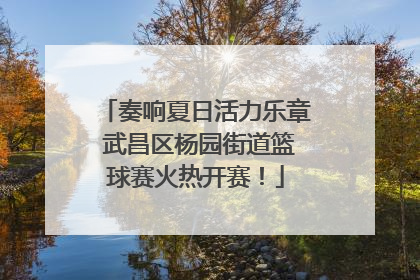 奏响夏日活力乐章 武昌区杨园街道篮球赛火热开赛！